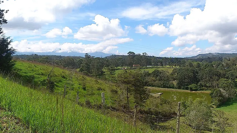 Campos y fincas de La Mesa de los Santos antes del mediodía