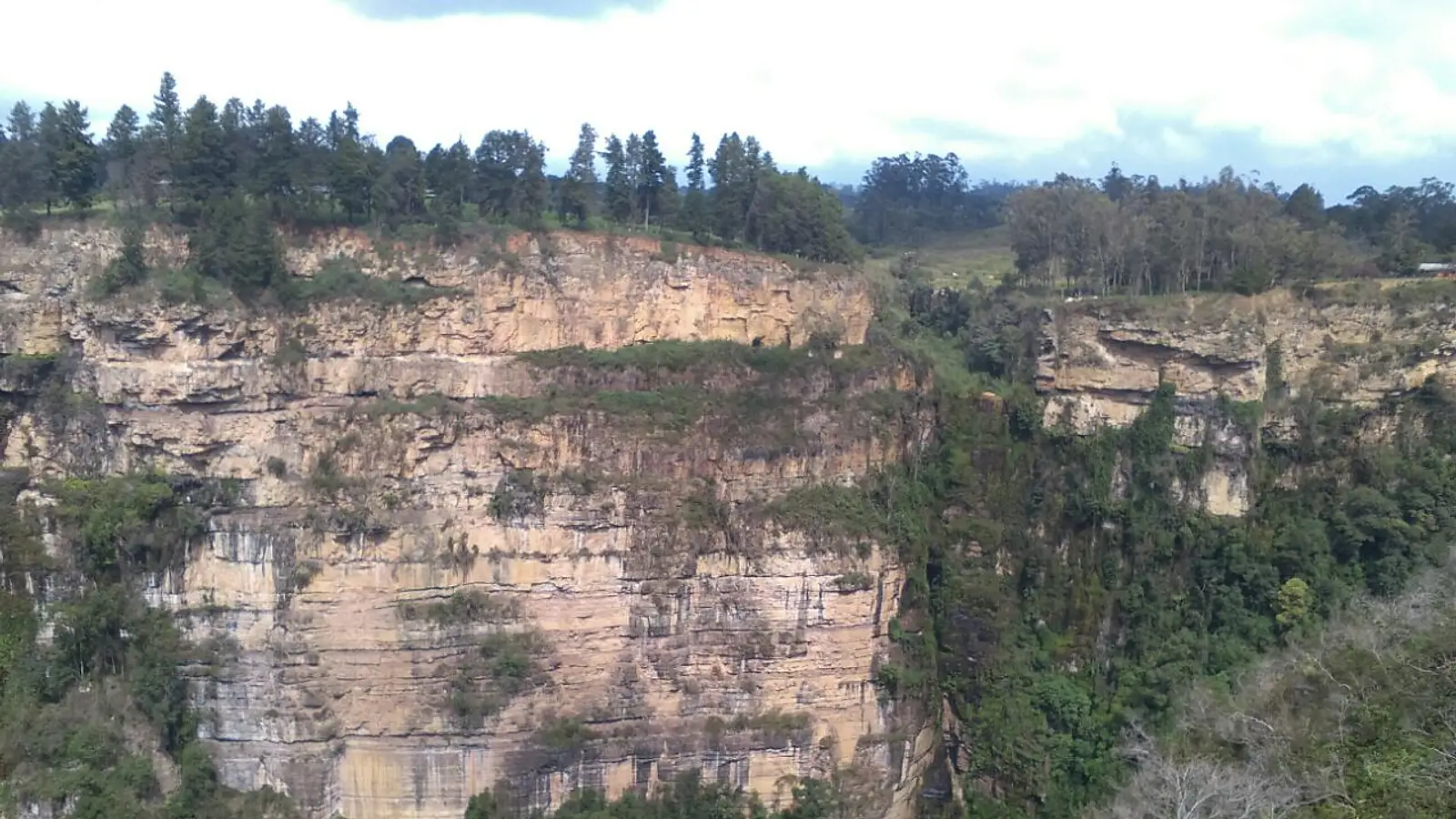 Parque Municipal La Cascada 1